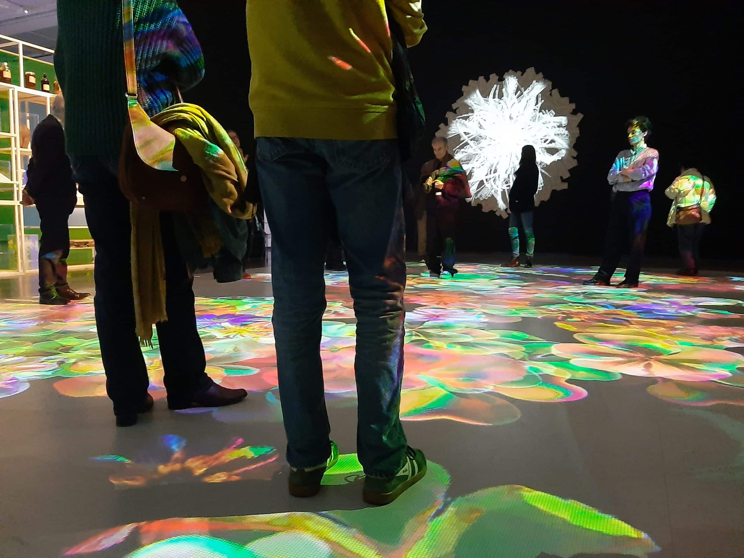 Sciences dessus-dessous BotanIA