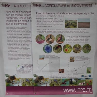Agriculture et biodiversité