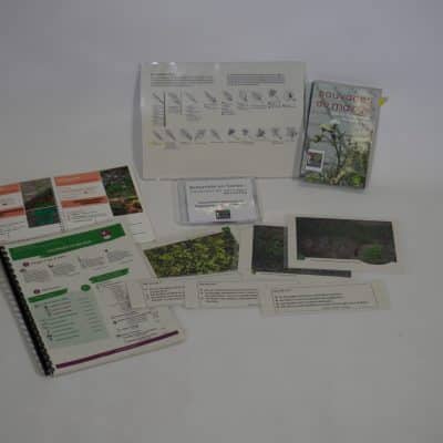 Botanistes en herbe : à la découverte des sauvages de ma rue